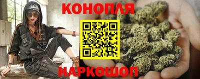 сатива Краснодар