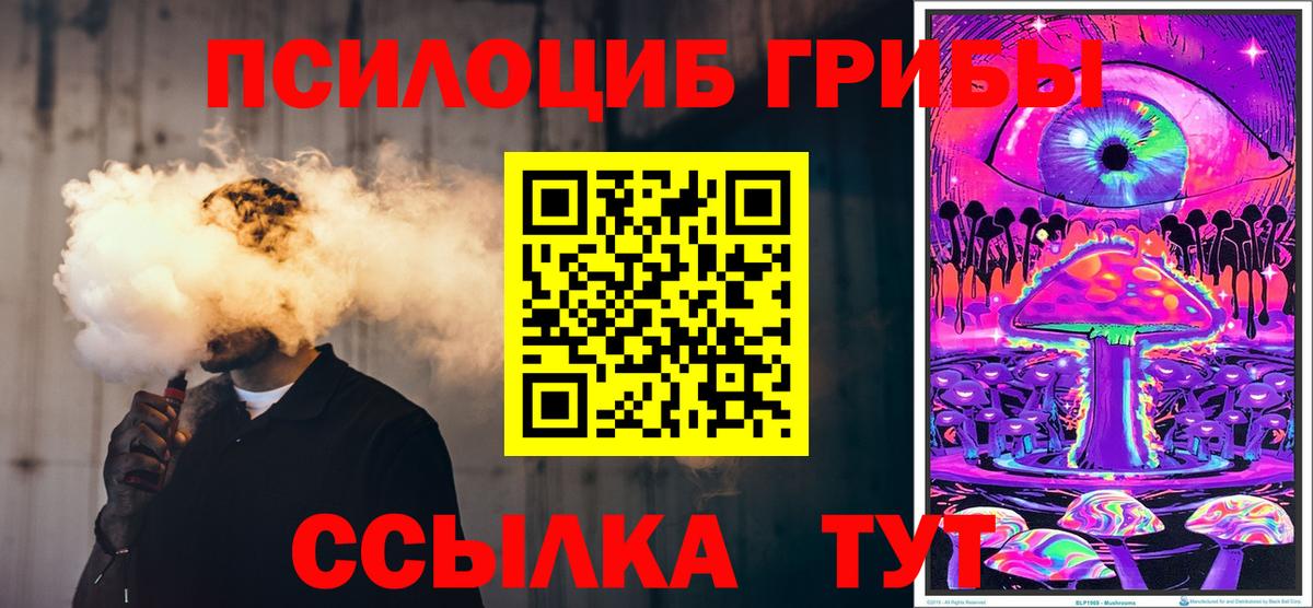 Галлюциногенные грибы Psilocybe Иваново
